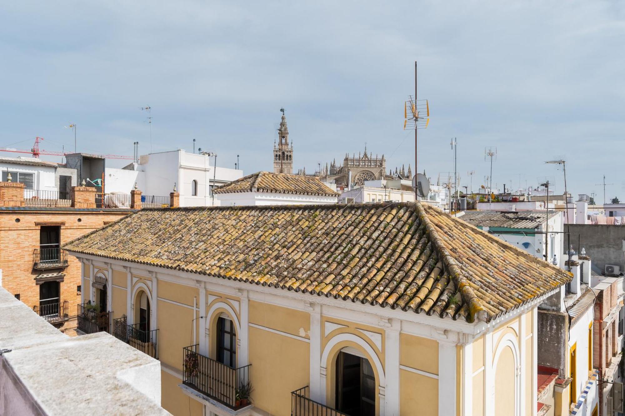 Mara Arenal Sevilla — Fotos 3