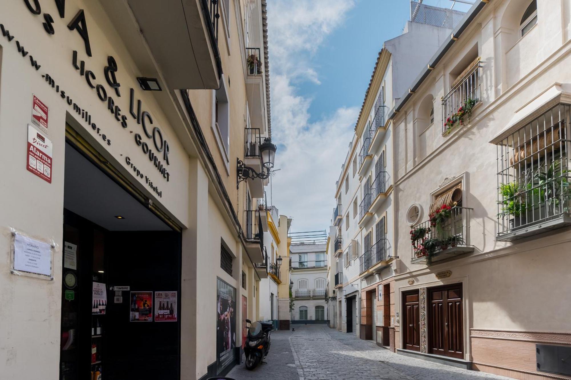 Mara Arenal Sevilla, Seville
